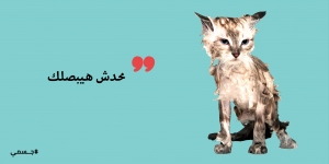 بيزيدوا في انتقاداتهم